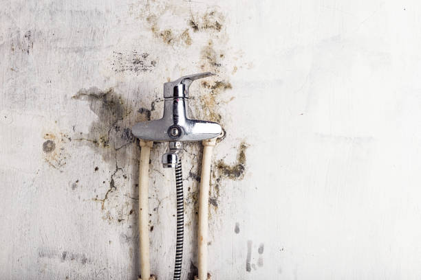 Best Mold Remediation for Schools in Marrero, LA