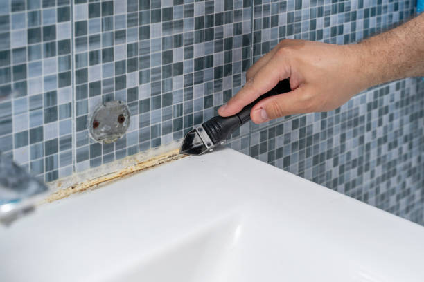 Best Localized Mold Remediation (e.g., coastal areas, humid climates) in Marrero, LA