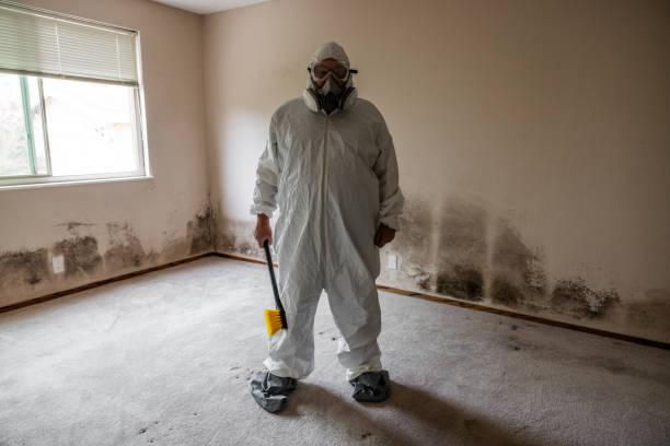 Best Bathroom Mold Remediation in Marrero, LA